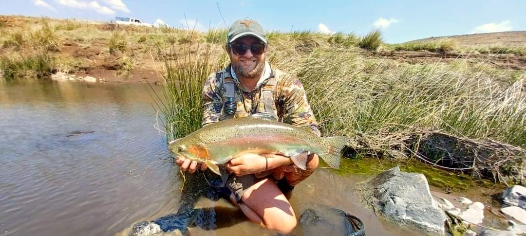 A trout from the local streams