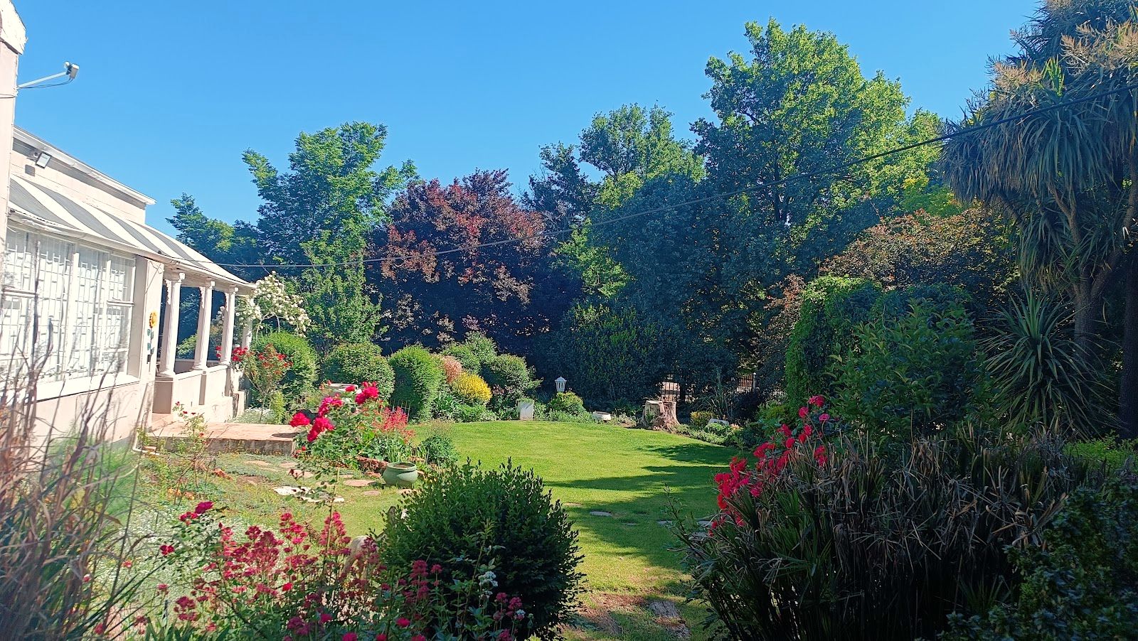 The garden